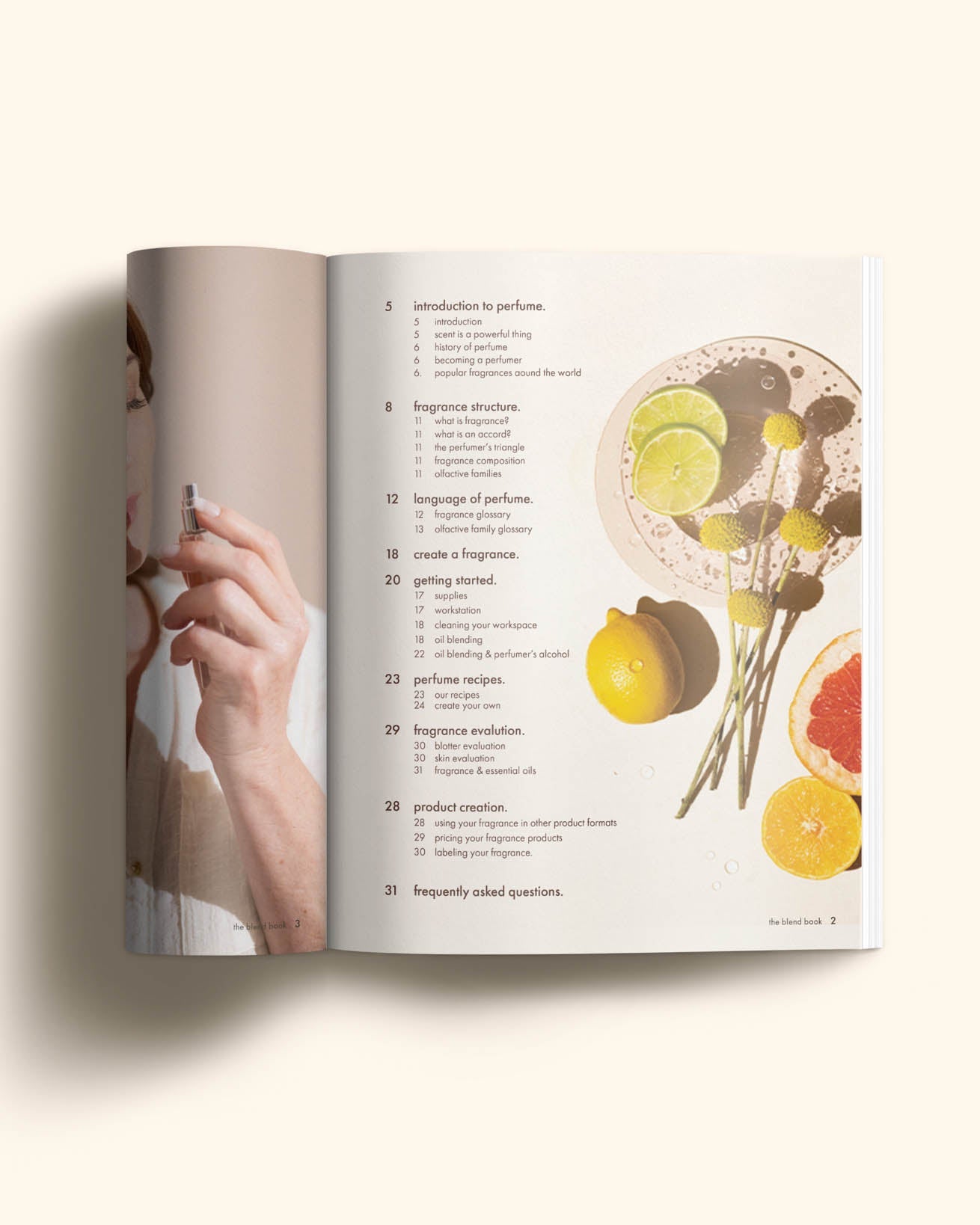 the blend book (digital)