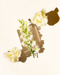 aldehydic floral fragrance oil accord