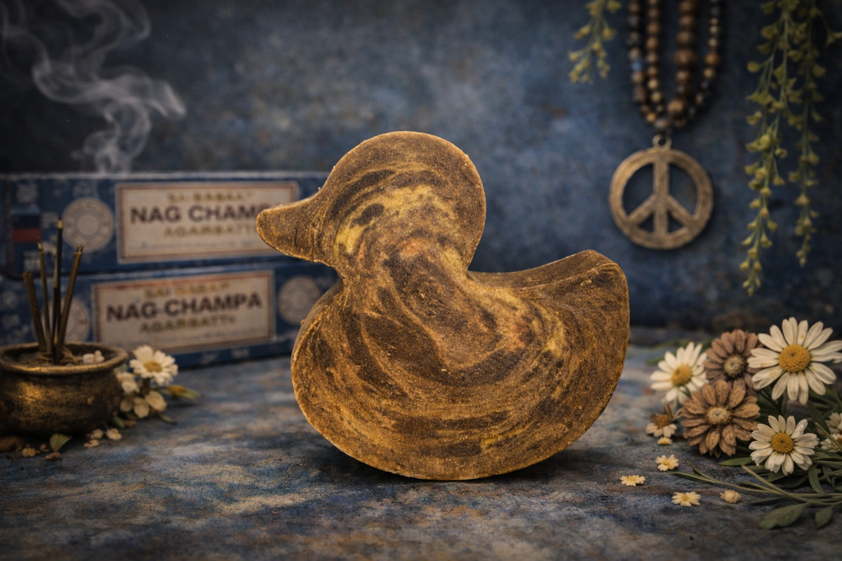 Duckville Duck🦆