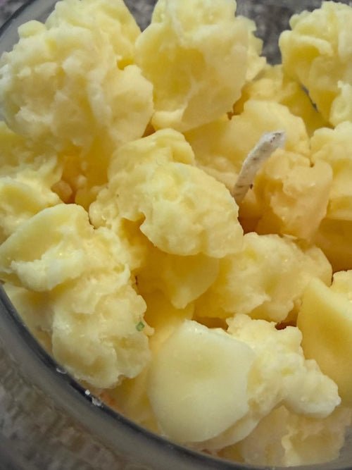 Hot Buttered Popcorn Scented Candle – Movie Night Favorite - Red Raven Candle Co
