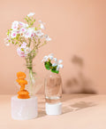 primrose & apricot™ fragrance oil
