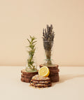 INVIGORATING ESSENTIAL OIL BLEND