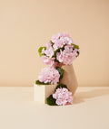 egyptian geranium essential oil